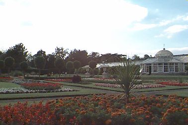 Glasshouse